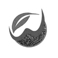 图形
